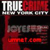 game pic for True Crime: new york city